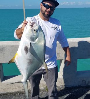 Permit in Fort Lauderdale, FL 